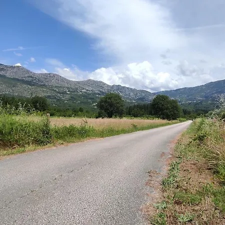 アパート Bungevilia *