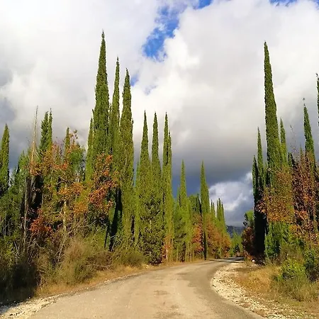 Bungevilia Appartamento Gruda