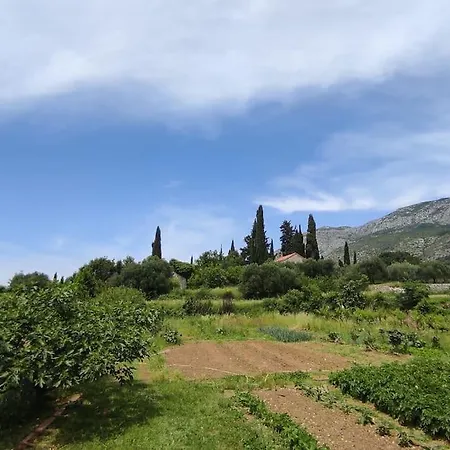 Bungevilia Apartment *