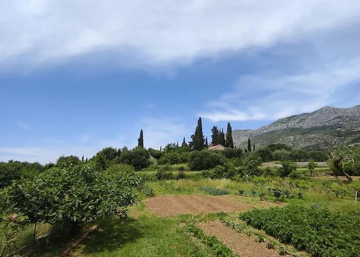 Bungevilia Apartman *